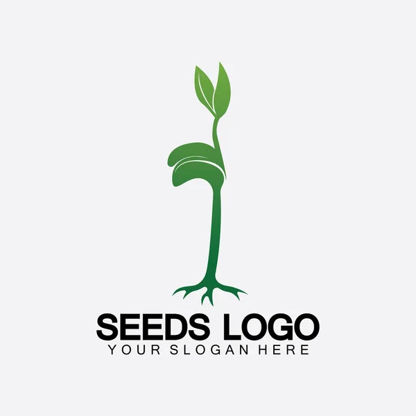 Modèle Concept Logo Semences Végétales Logo Semences Vector Growing Modèle — Image vectorielle