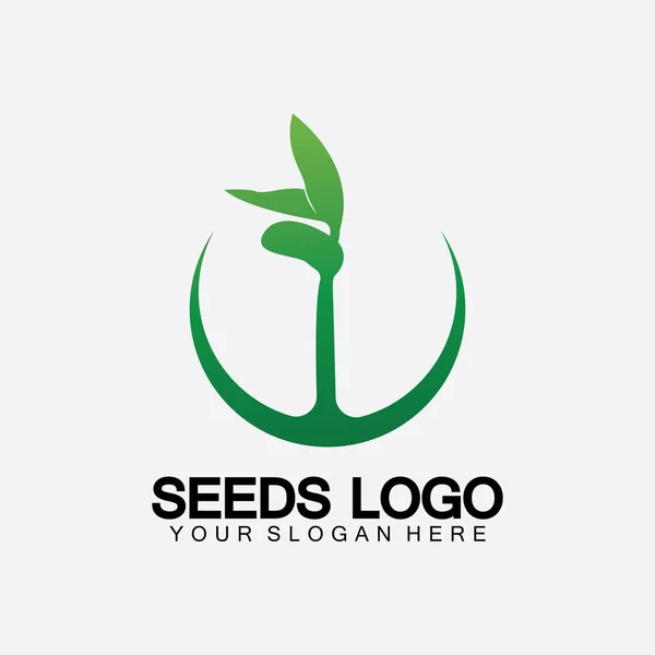 植物の種子のロゴのコンセプトテンプレートベクトル成長種子のロゴ種子の成長ベクトルロゴイラストデザインテンプレート — ストックベクタ