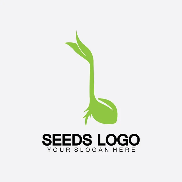 Σπόροι Φυτών Λογότυπο Concept Πρότυπο Vector Growing Λογότυπο Σπόρων — Διανυσματικό Αρχείο