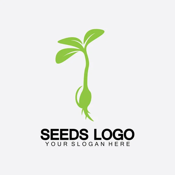 Loeeds Logo Concept Template Vector Grading Seed Logo Seed Grows — 스톡 벡터