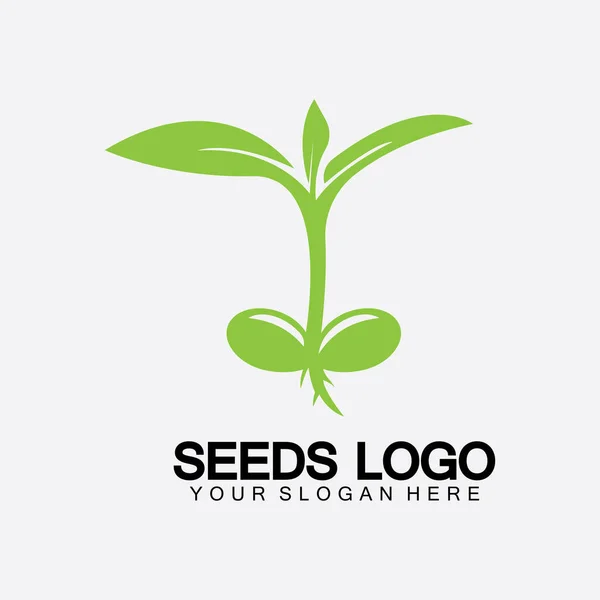 Loeeds Logo Concept Template Vector Grading Seed Logo Seed Grows — 스톡 벡터