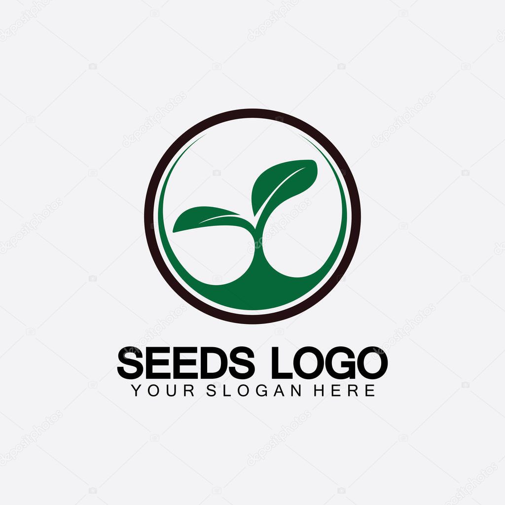 Plant Seeds Logo Concept Template Vector.growing seed logo.Seed grow Vector logo illustration design template