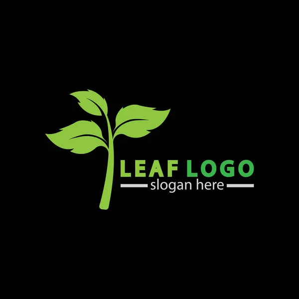 Diseño Abstracto Del Icono Del Logotipo Hoja Verde Aislado Sobre — Vector de stock