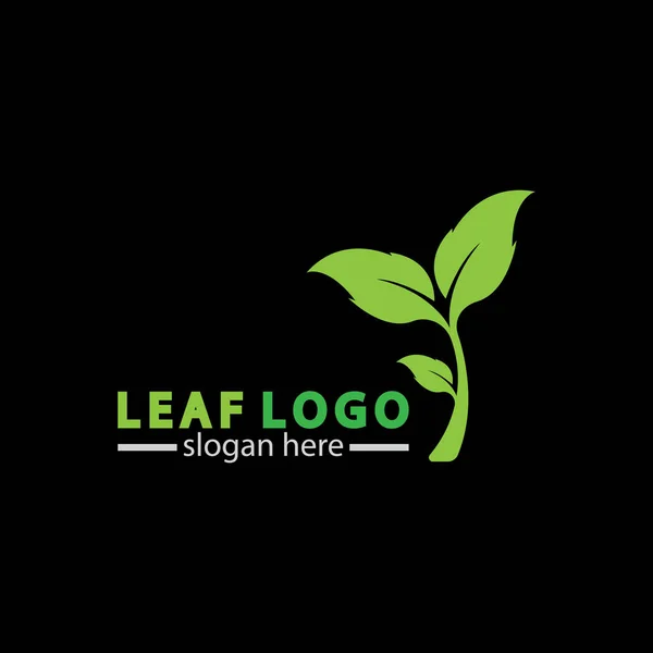 Абстрактний Зелений Лист Логотипу Значок Векторний Дизайн Ізольовано Чорному Тлі — стоковий вектор