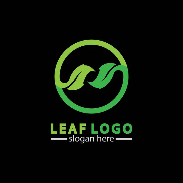 Diseño Abstracto Del Icono Del Logotipo Hoja Verde Aislado Sobre — Vector de stock