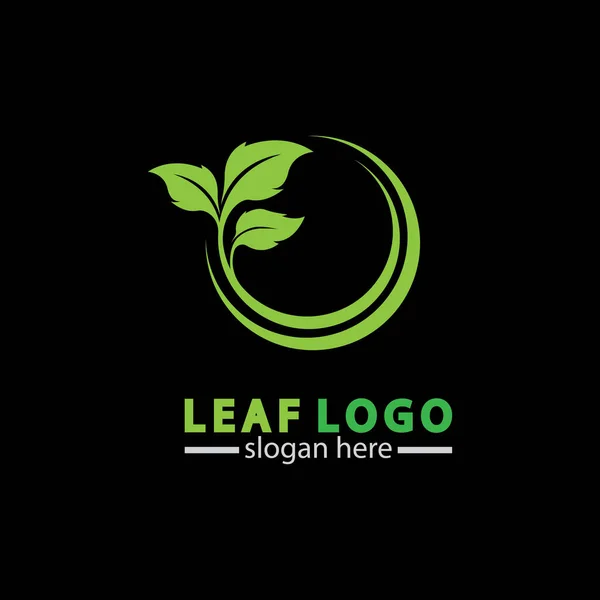 Абстрактный Вектор Логотипа Зеленого Листа Выделенный Черном Фоне Ландшафтный Дизайн — стоковый вектор