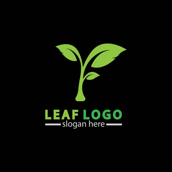 Αφηρημένη Πράσινο Φύλλο Λογότυπο Εικονίδιο Διάνυσμα Σχεδιασμό Απομονώνονται Μαύρο Φόντο — Διανυσματικό Αρχείο