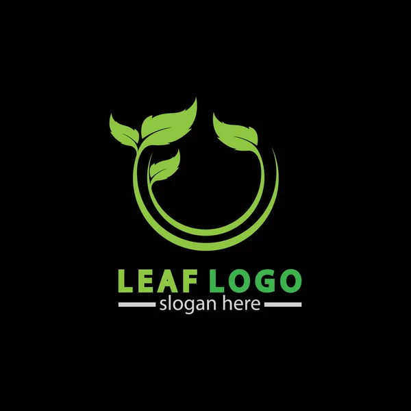 Abstract Green Leaf Logo Icon Vector Design Isolated Black Background — Stock Vector