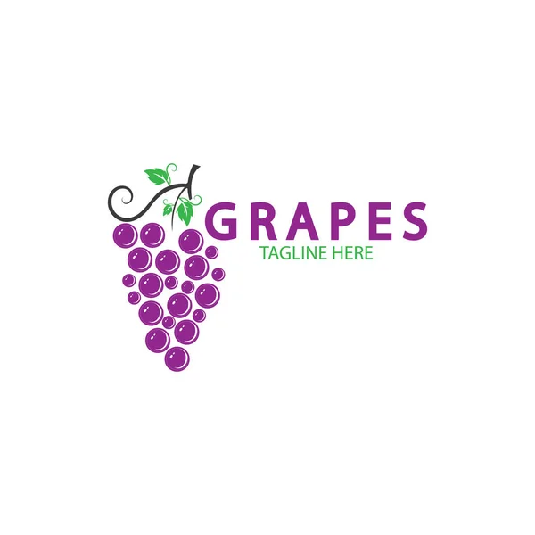 Grapes Logo Modello Icona Vettoriale Illustrazione Design — Vettoriale Stock