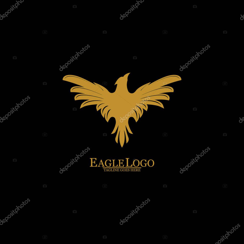 Golden Eagle with Black Background, Vector, Illustration