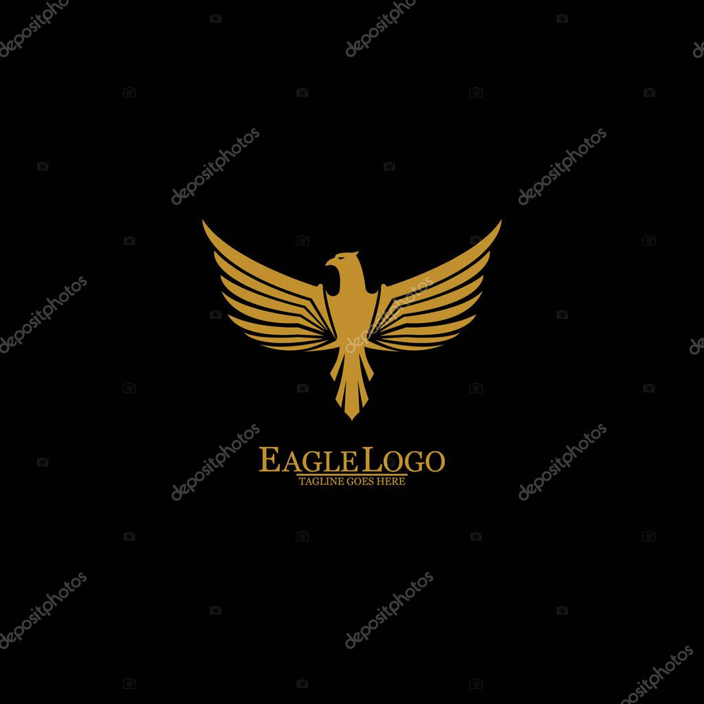 Golden Eagle with Black Background, Vector, Illustration