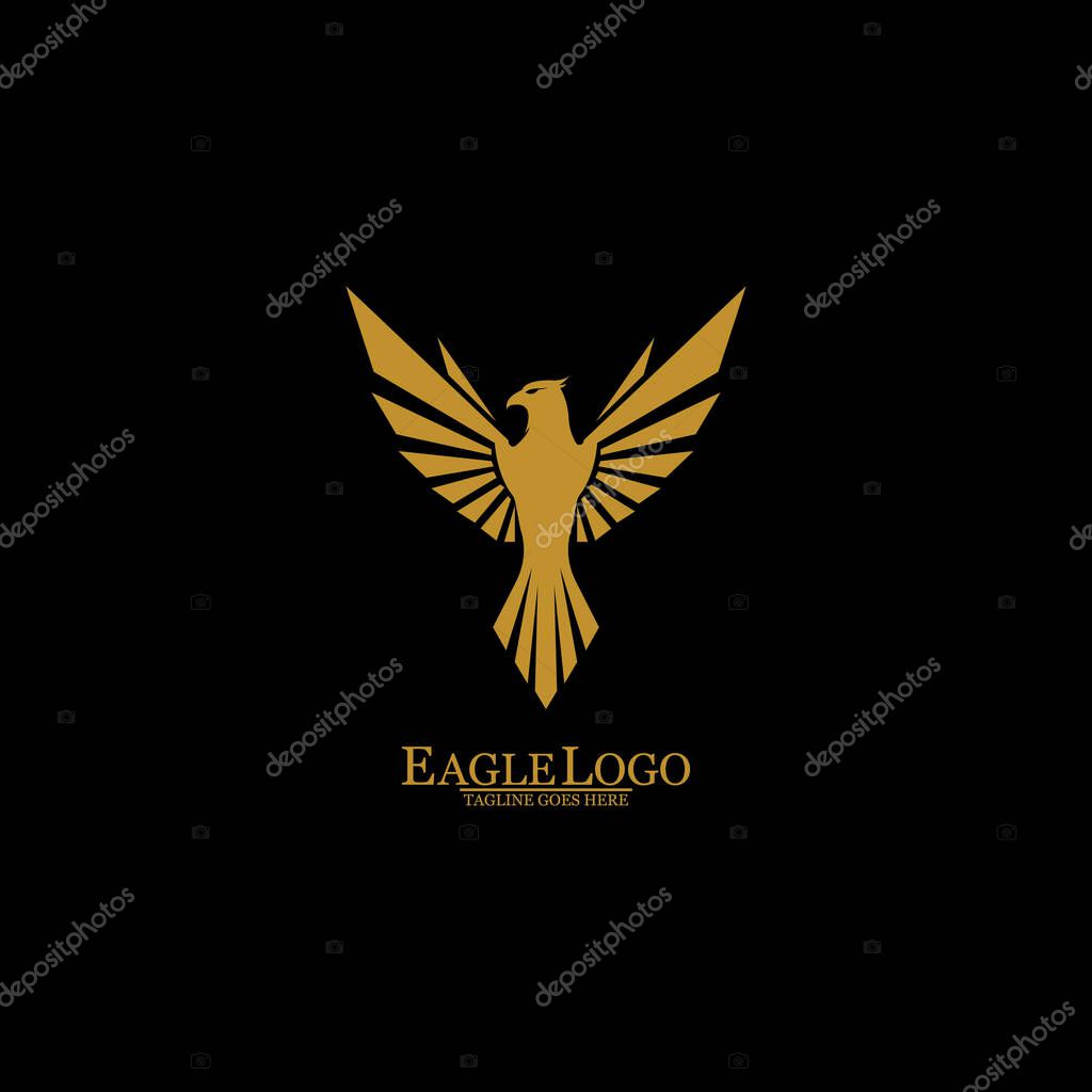 Golden Eagle with Black Background, Vector, Illustration