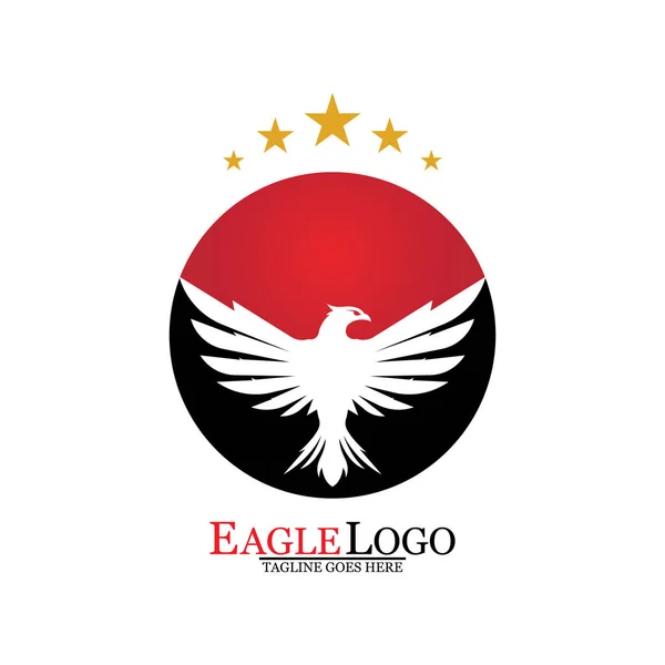 Falcon Eagle Bird Logo Vorlage Vektorsymbol — Stockvektor