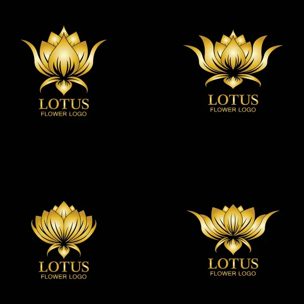 Altın nilüfer çiçeği logosu. Karanlık arka planda, eko, güzellik, spa, yoga, tıbbi şirketler için altın efektli nilüfer ikonu tasarımı şablonu.