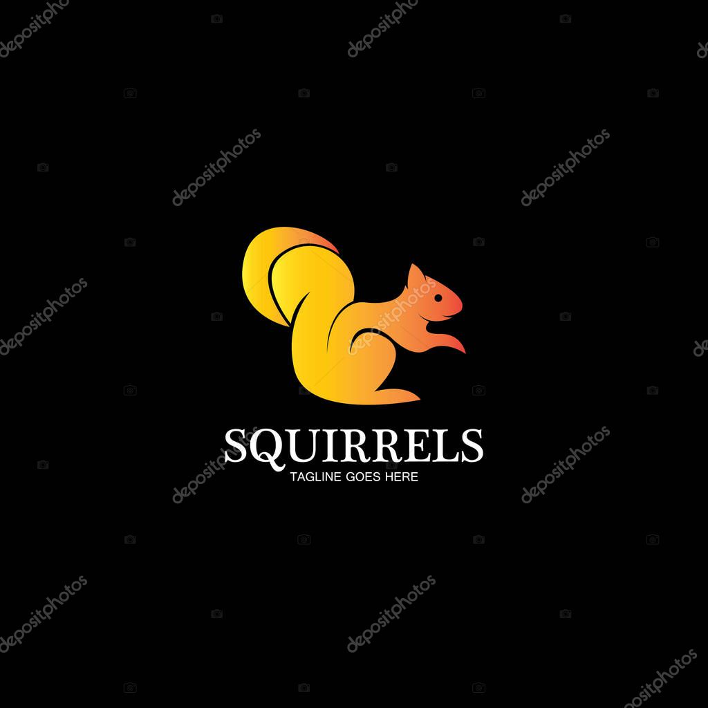 Creative squirrel animal logo design icon symbol illustration-vector
