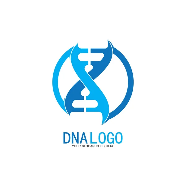 Dna Vektör Logo Tasarım Şablonu Modern Medikal Logoty Lab Bilim — Stok Vektör