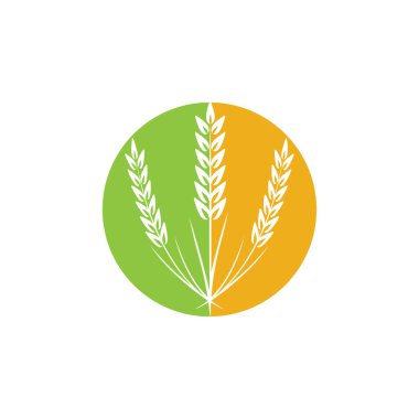 Tarım buğday logosu vektör ikonu tasarımı