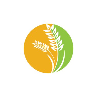 Tarım buğday logosu vektör ikonu tasarımı