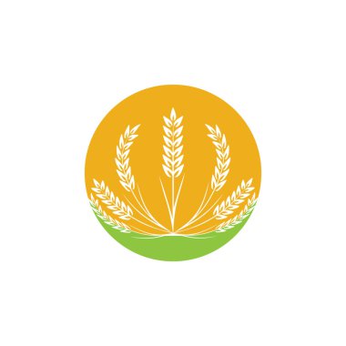 Tarım buğday logosu vektör ikonu tasarımı