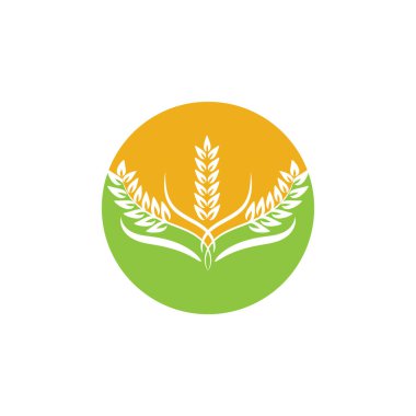 Tarım buğday logosu vektör ikonu tasarımı