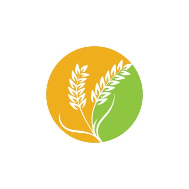 Tarım buğday logosu vektör ikonu tasarımı