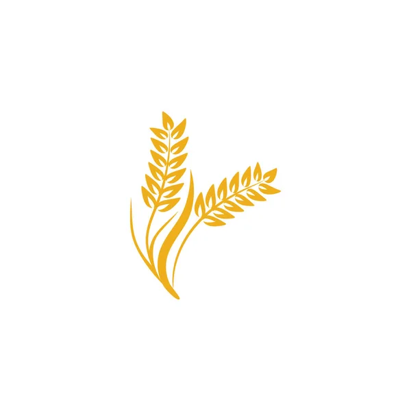 Landwirtschaft Weizen Logo Vorlage Vektor Icon Design — Stockvektor