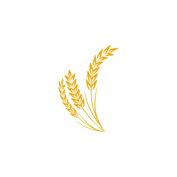 Agriculture Wheat Logo Template Vector Icon Design — Stock Vector