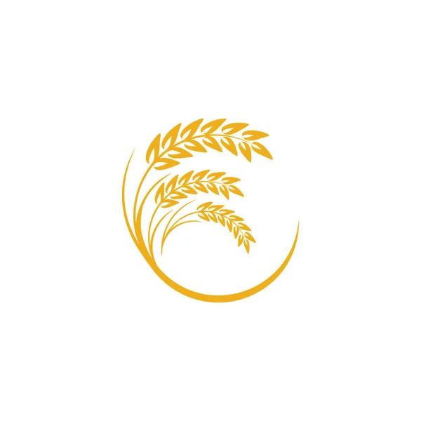 Landwirtschaft Weizen Logo Vorlage Vektor Icon Design — Stockvektor