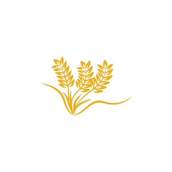 Landwirtschaft Weizen Logo Vorlage Vektor Icon Design — Stockvektor