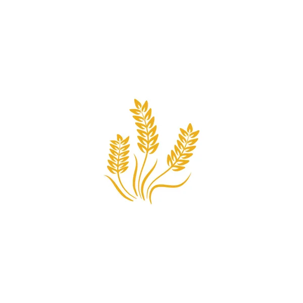 Landwirtschaft Weizen Logo Vorlage Vektor Icon Design — Stockvektor