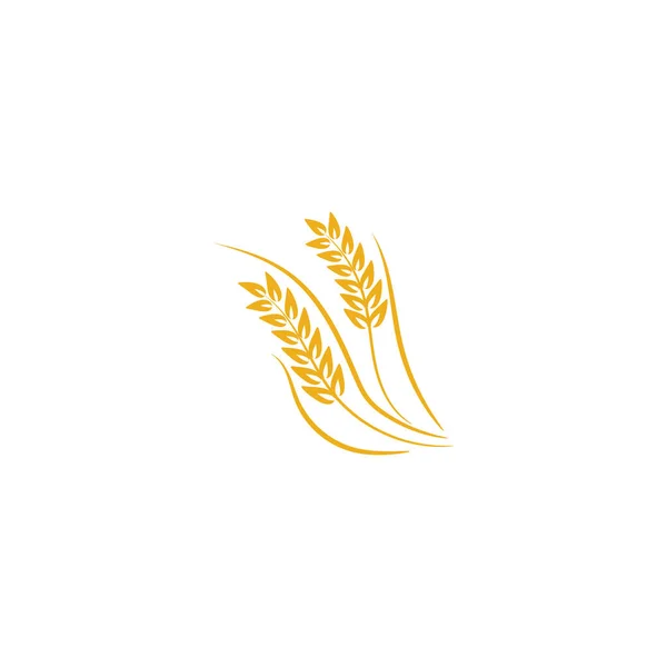 Agriculture Wheat Logo Template Vector Icon Design — Stock Vector