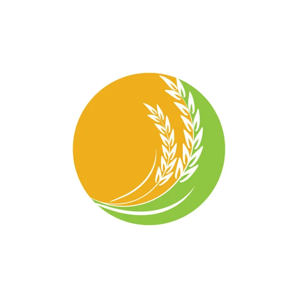 Agricultura Trigo Logotipo Plantilla Vector Icono Diseño — Vector de stock