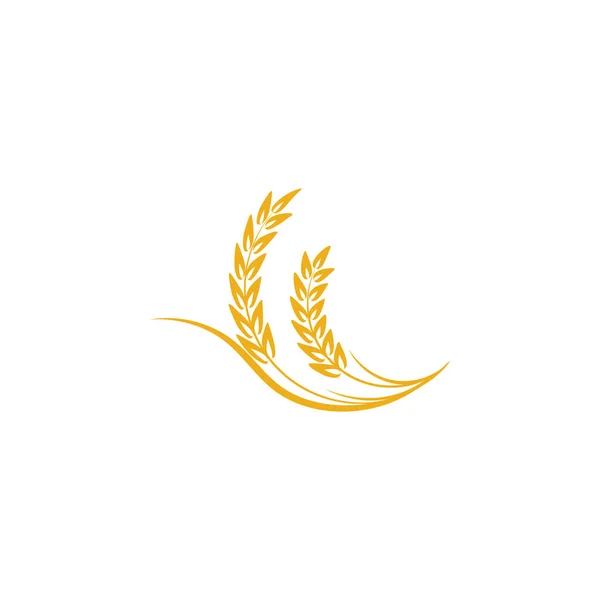 Landwirtschaft Weizen Logo Vorlage Vektor Icon Design — Stockvektor