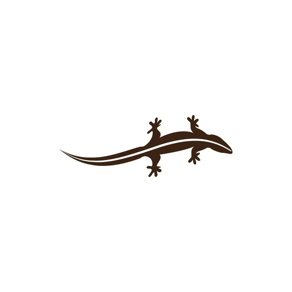 Logo Symbol Vektorové Ikony Ještěrky — Stockový vektor