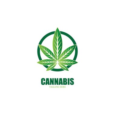 Esrar marihuana yaprağı ikon vektör illüstrasyonu