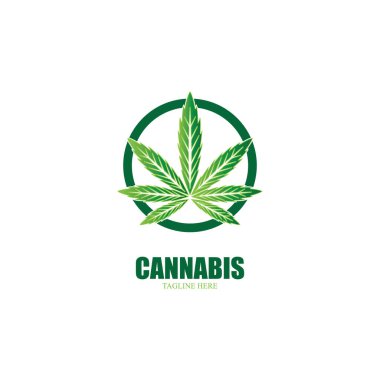 Esrar marihuana yaprağı ikon vektör illüstrasyonu