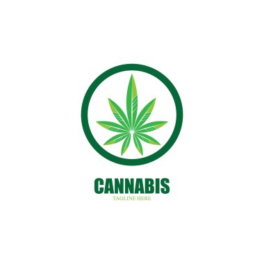 Esrar marihuana yaprağı ikon vektör illüstrasyonu