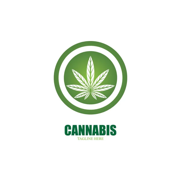 Cannabis Marijuana Leaf Icon Vector Illustration — Stock Vector