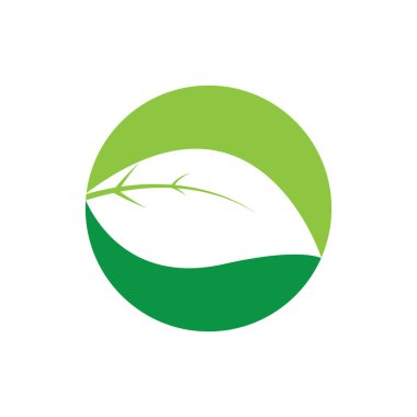 Yaprak logo vektör tasarım şablonu