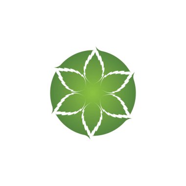 Yaprak logo vektör tasarım şablonu