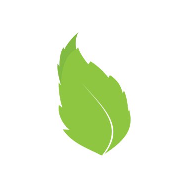 Yaprak logo vektör tasarım şablonu