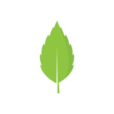 Yaprak logo vektör tasarım şablonu