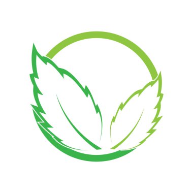 Yaprak logo vektör tasarım şablonu