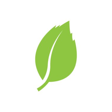 Yaprak logo vektör tasarım şablonu