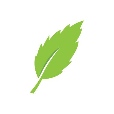 Yaprak logo vektör tasarım şablonu