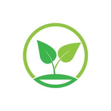 Yaprak logo vektör tasarım şablonu