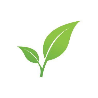 Yaprak logo vektör tasarım şablonu