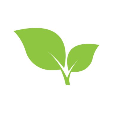 Yaprak logo vektör tasarım şablonu