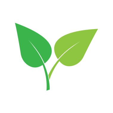 Yaprak logo vektör tasarım şablonu