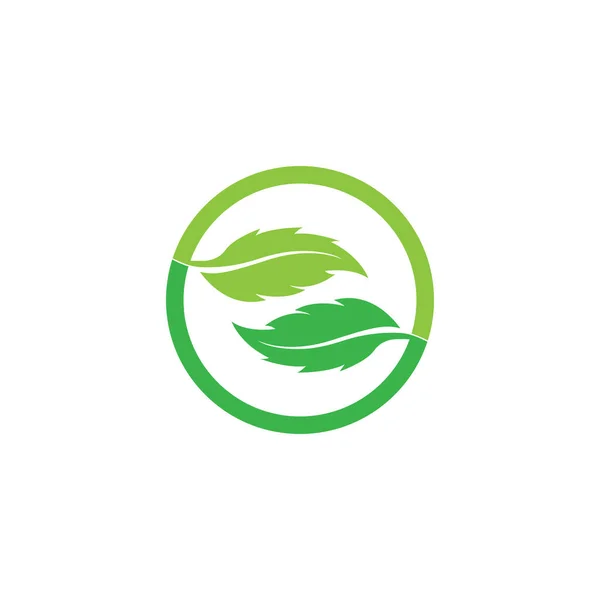 Blatt Logo Vektor Icon Design Vorlage — Stockvektor